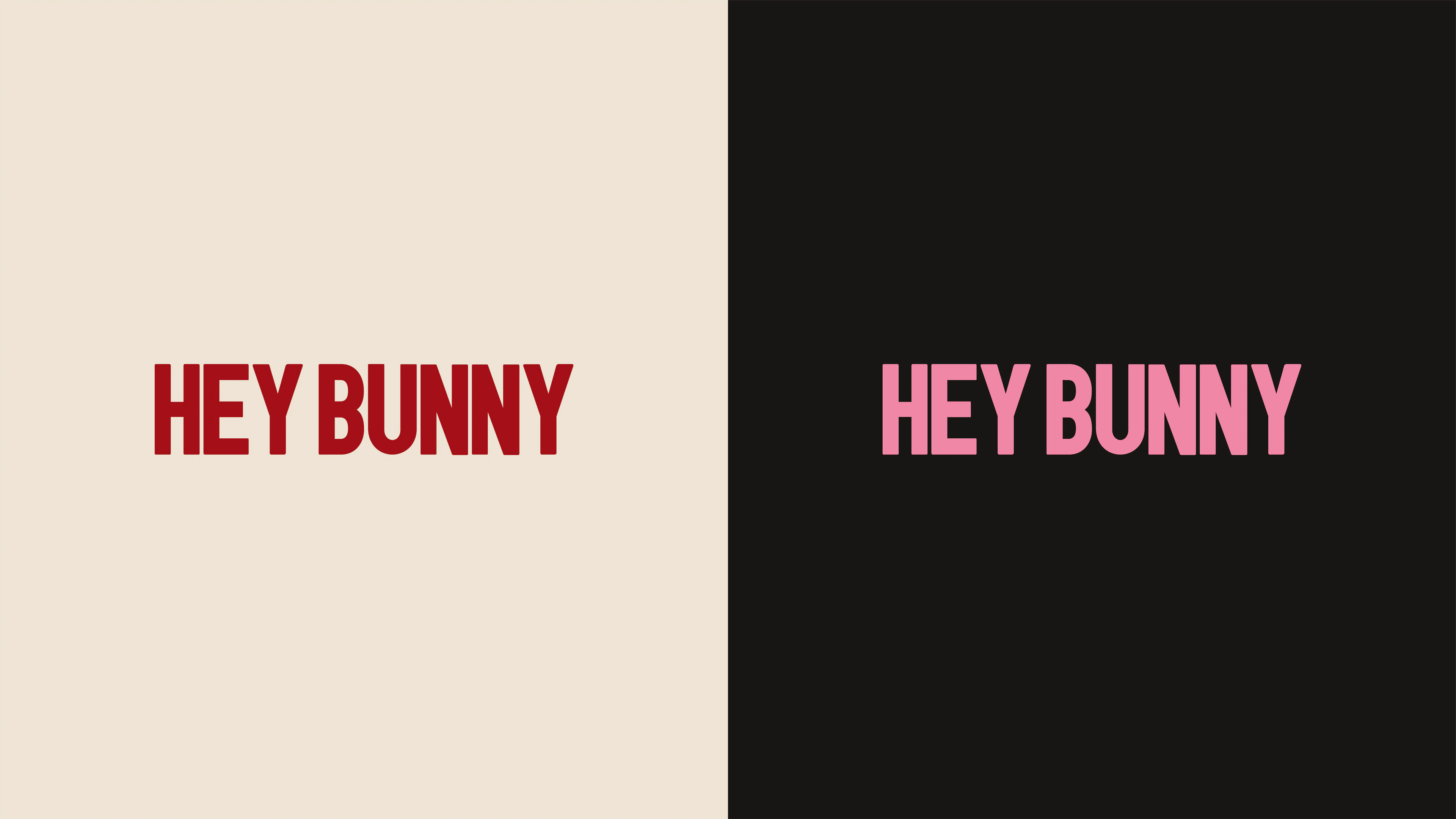 HEY BUNNY — image 2
