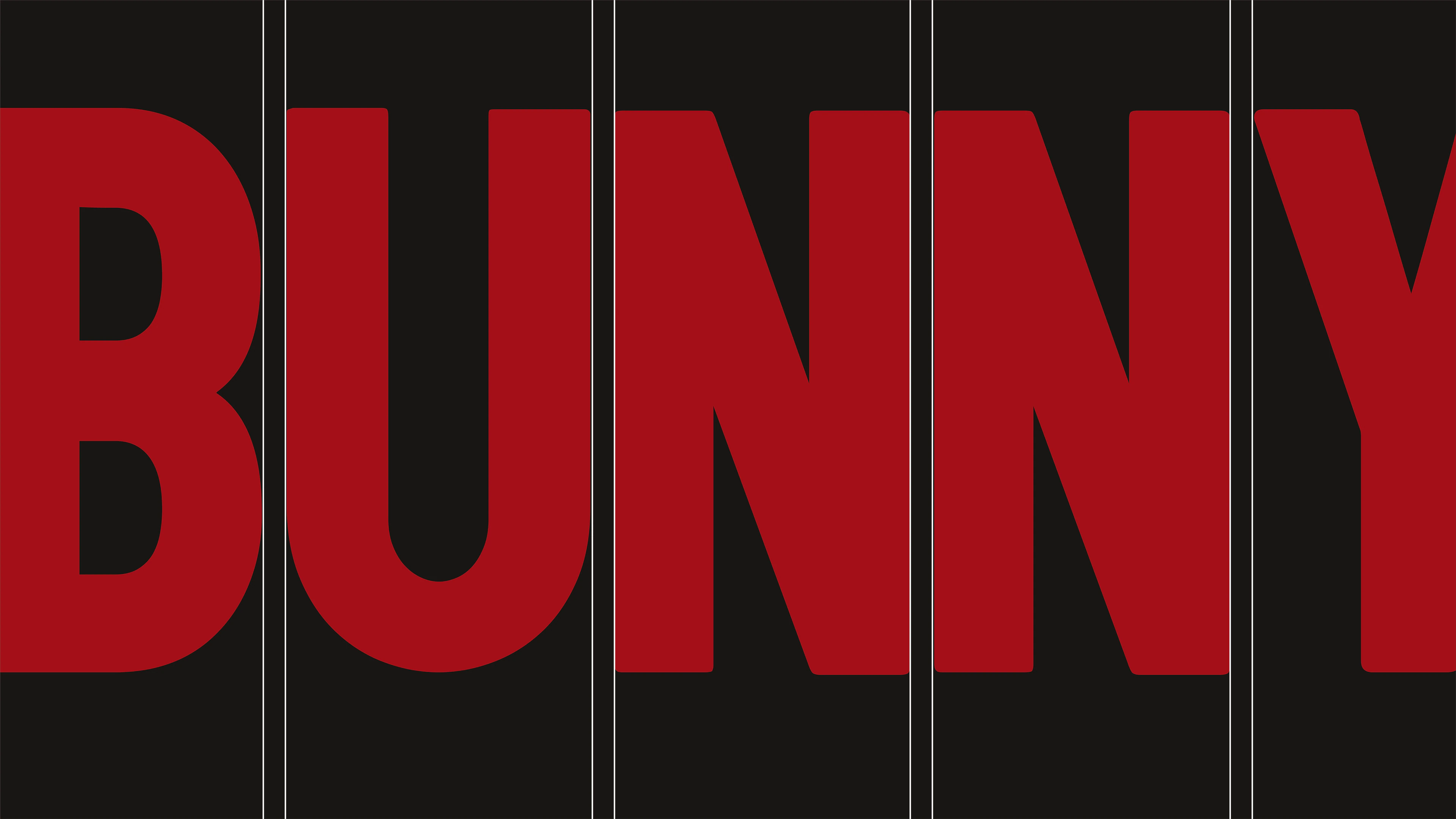 HEY BUNNY — image 3