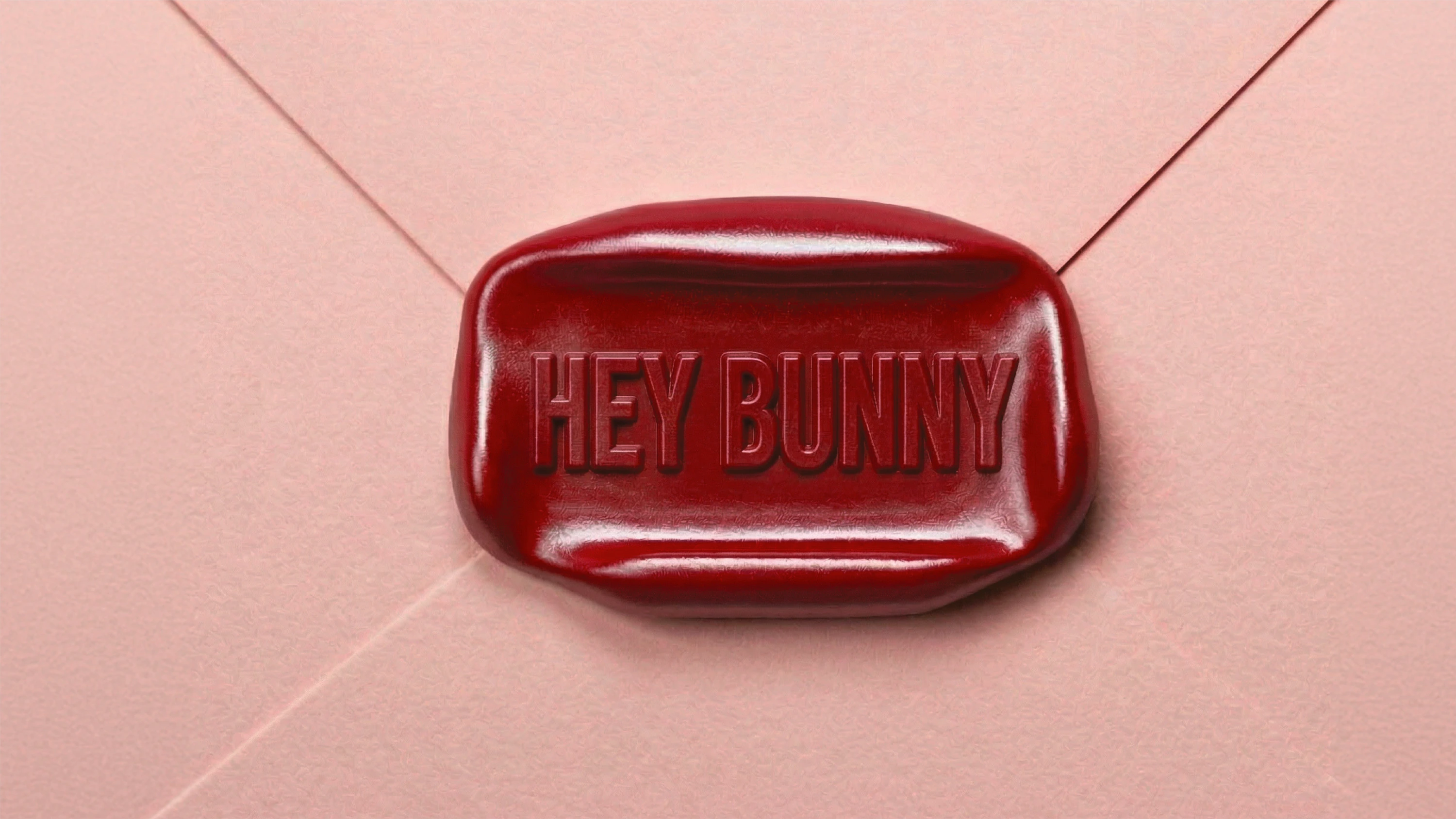 HEY BUNNY work cover